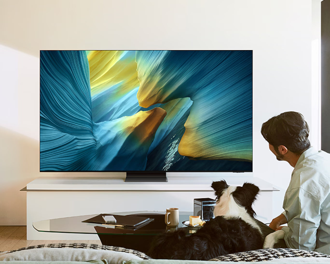 Samsung OLED QE77S95F - 2025